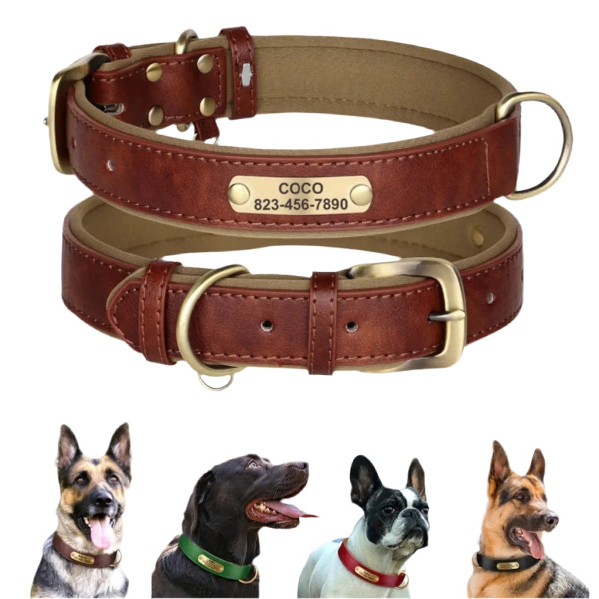 Personalized Leather Dog Collar