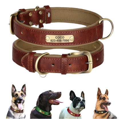 Personalized Leather Dog Collar