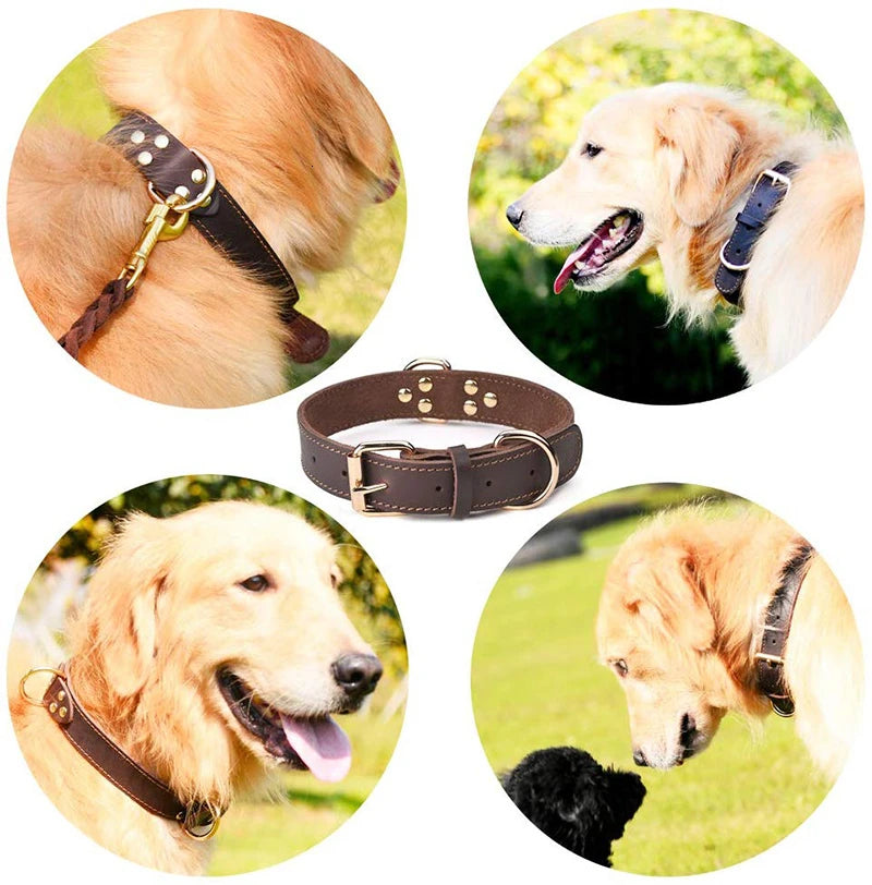 Benepaw Genuine Leather Dog Collar