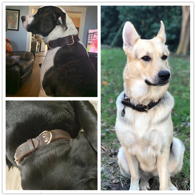 Benepaw Genuine Leather Dog Collar