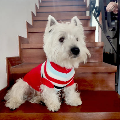 Christmas Knitted Sweater