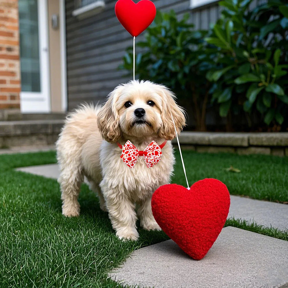 10-Pack Valentine's Dog Bowties