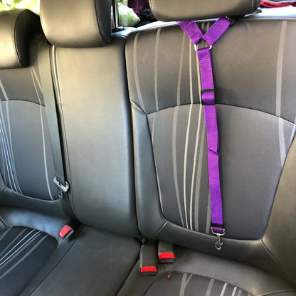 Two-in-One Pet Car Seat Belt & Leash