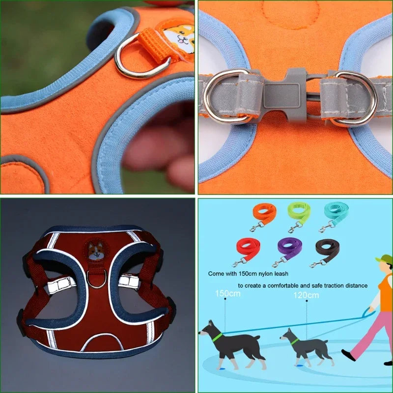 Adjustable Dog Harness & Leash Set