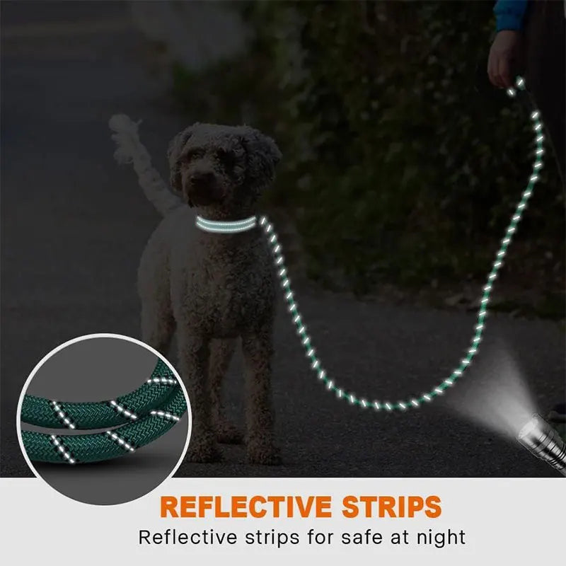 Reflective Dog Leash