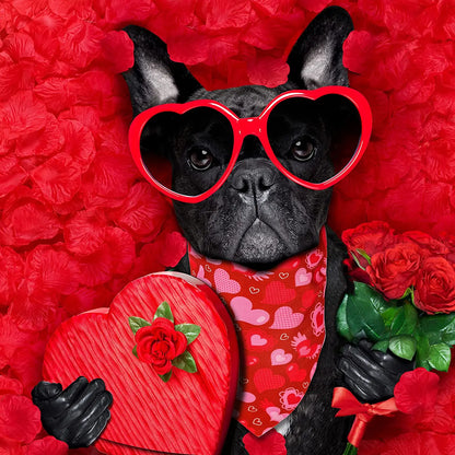 Valentine's Dog Bandanas (20-Pack)