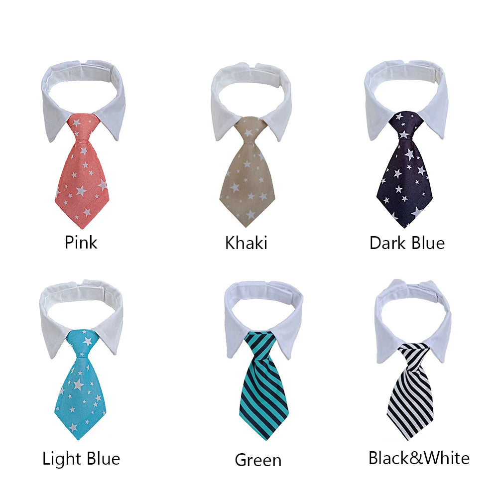 Formal Necktie Collar