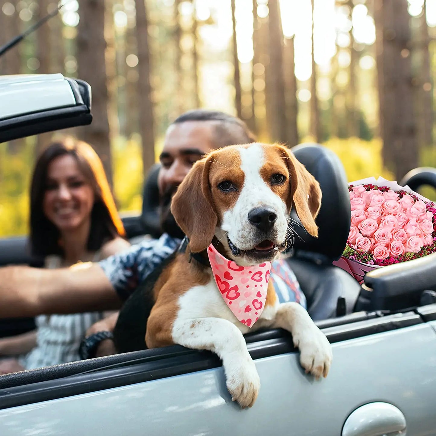 Valentine's Dog Bandanas (20-Pack)