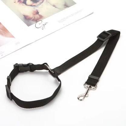 Two-in-One Pet Car Seat Belt & Leash