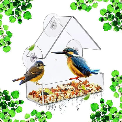 Acrylic Transparent Bird Feeder with Suction Cup