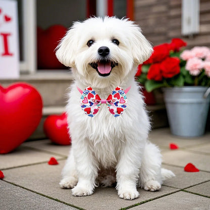 10-Pack Valentine's Dog Bowties