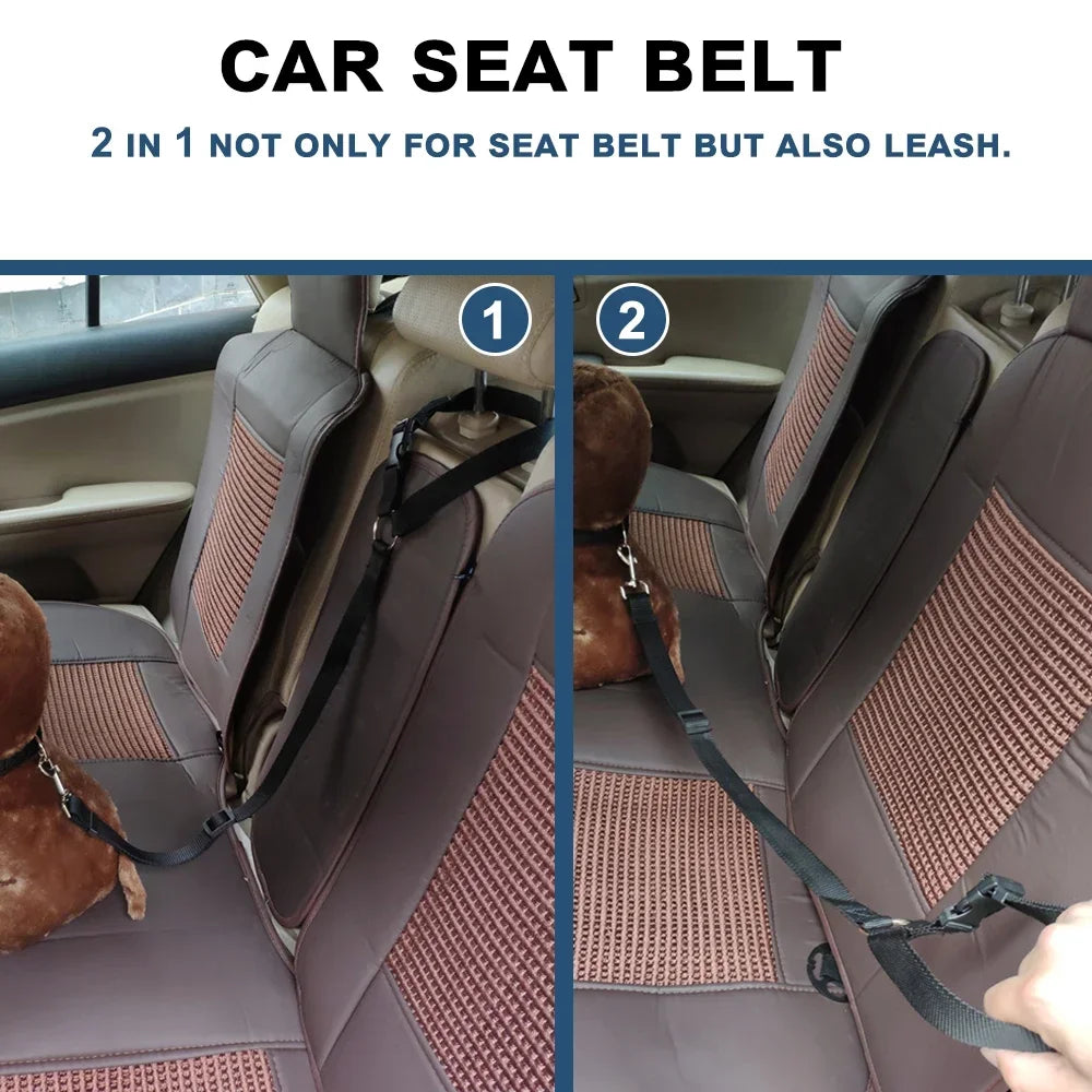 Two-in-One Pet Car Seat Belt & Leash