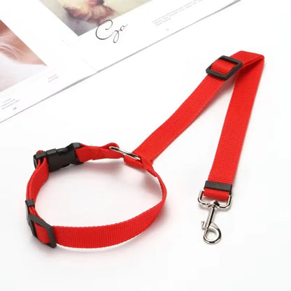 Two-in-One Pet Car Seat Belt & Leash