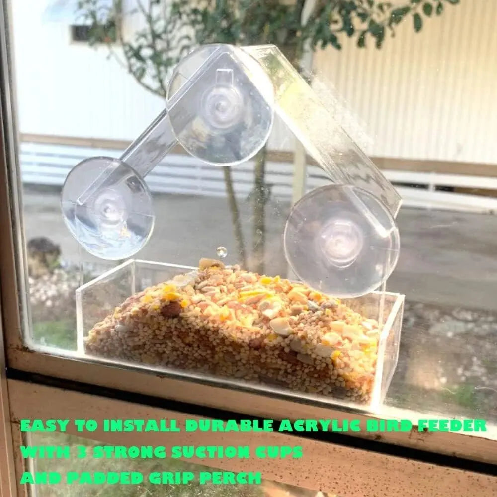 Acrylic Transparent Bird Feeder with Suction Cup