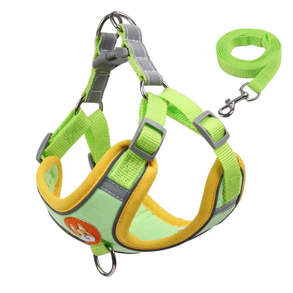 Adjustable Dog Harness & Leash Set