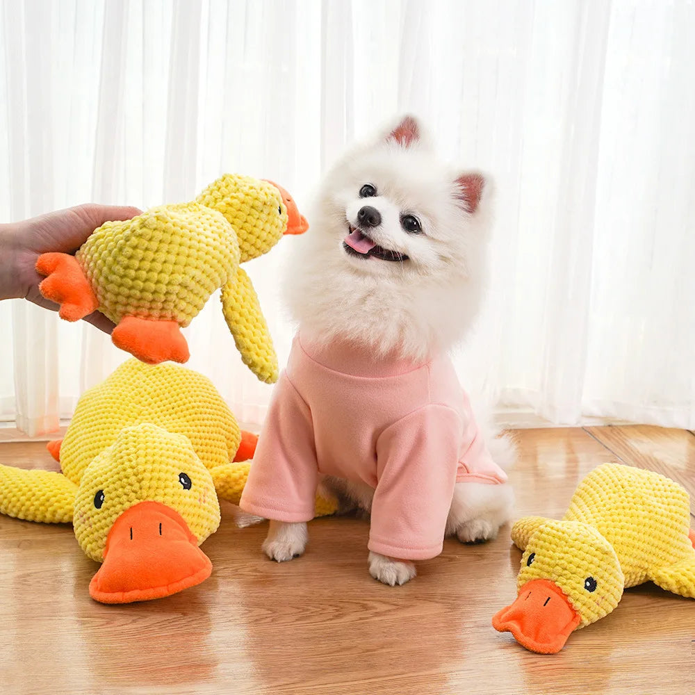 Quacking Duck Dog Toy