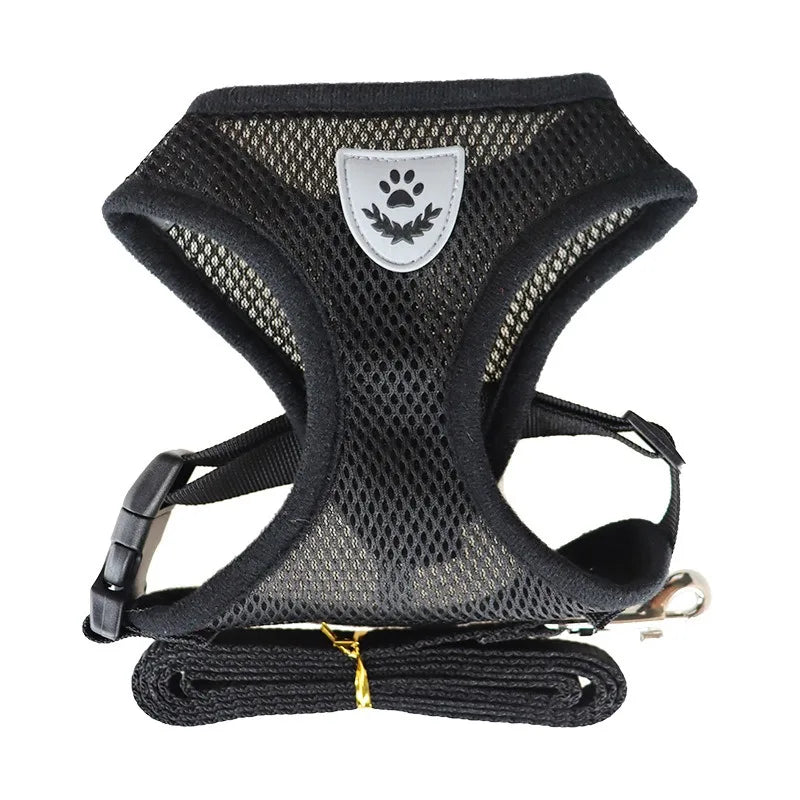 Adjustable Pet Harness and Leash Set