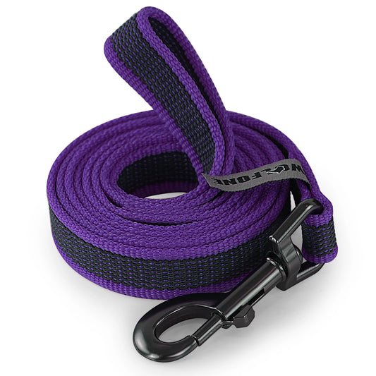 Dual-Color Dog Leash