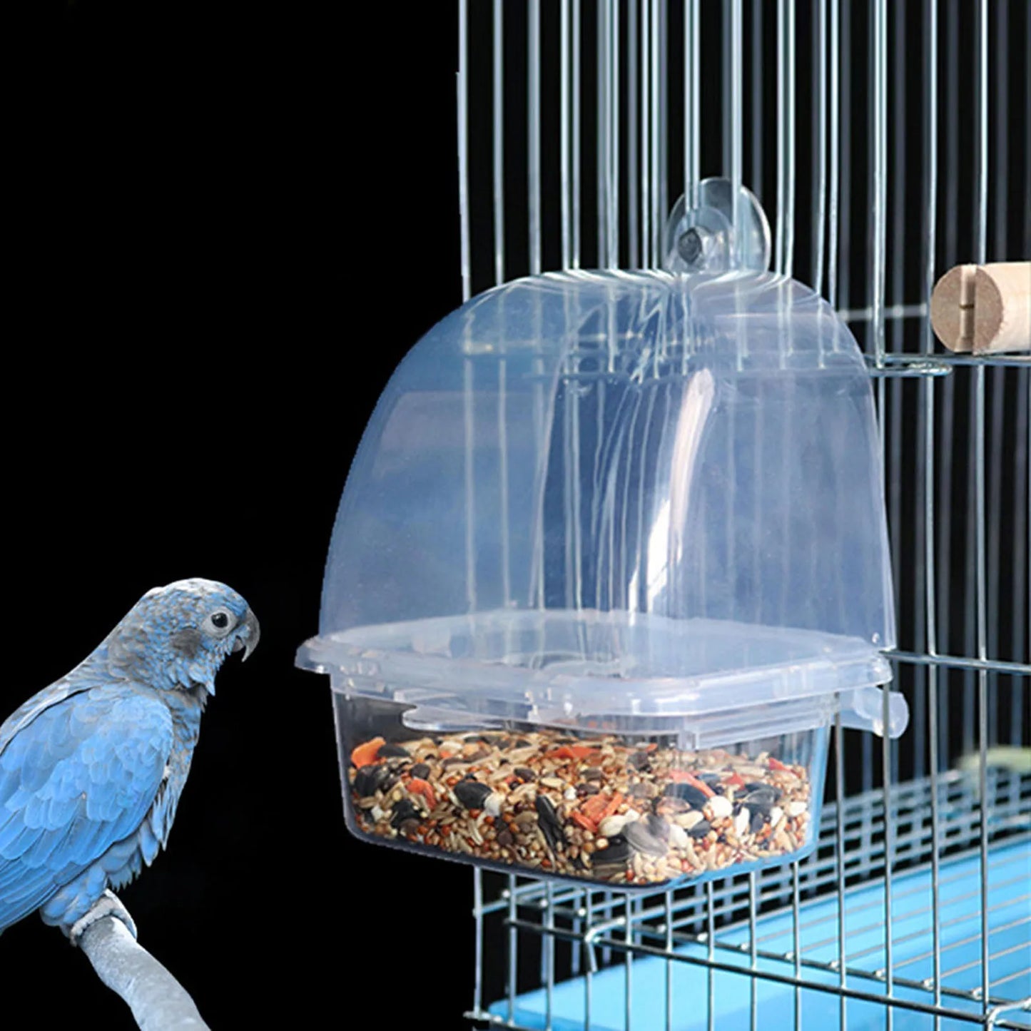 Automatic Bird Feeder