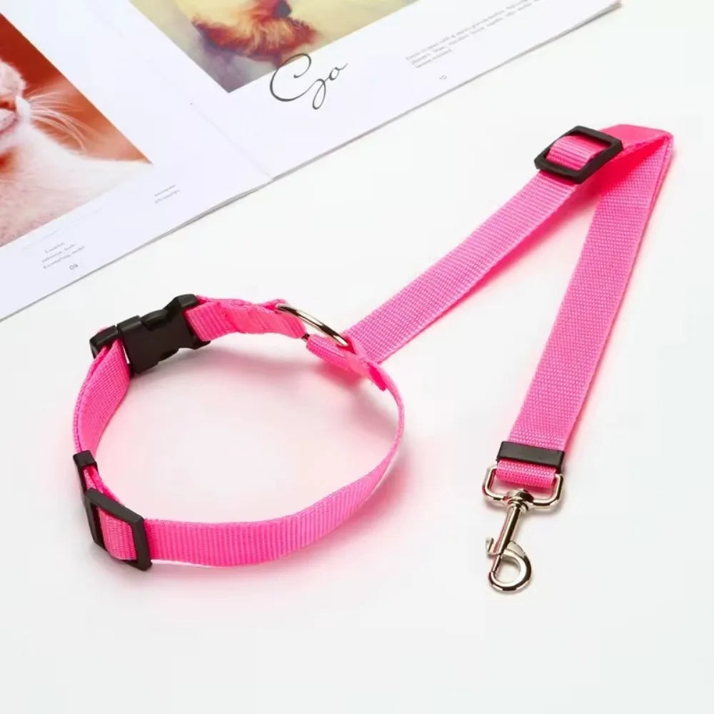 Two-in-One Pet Car Seat Belt & Leash