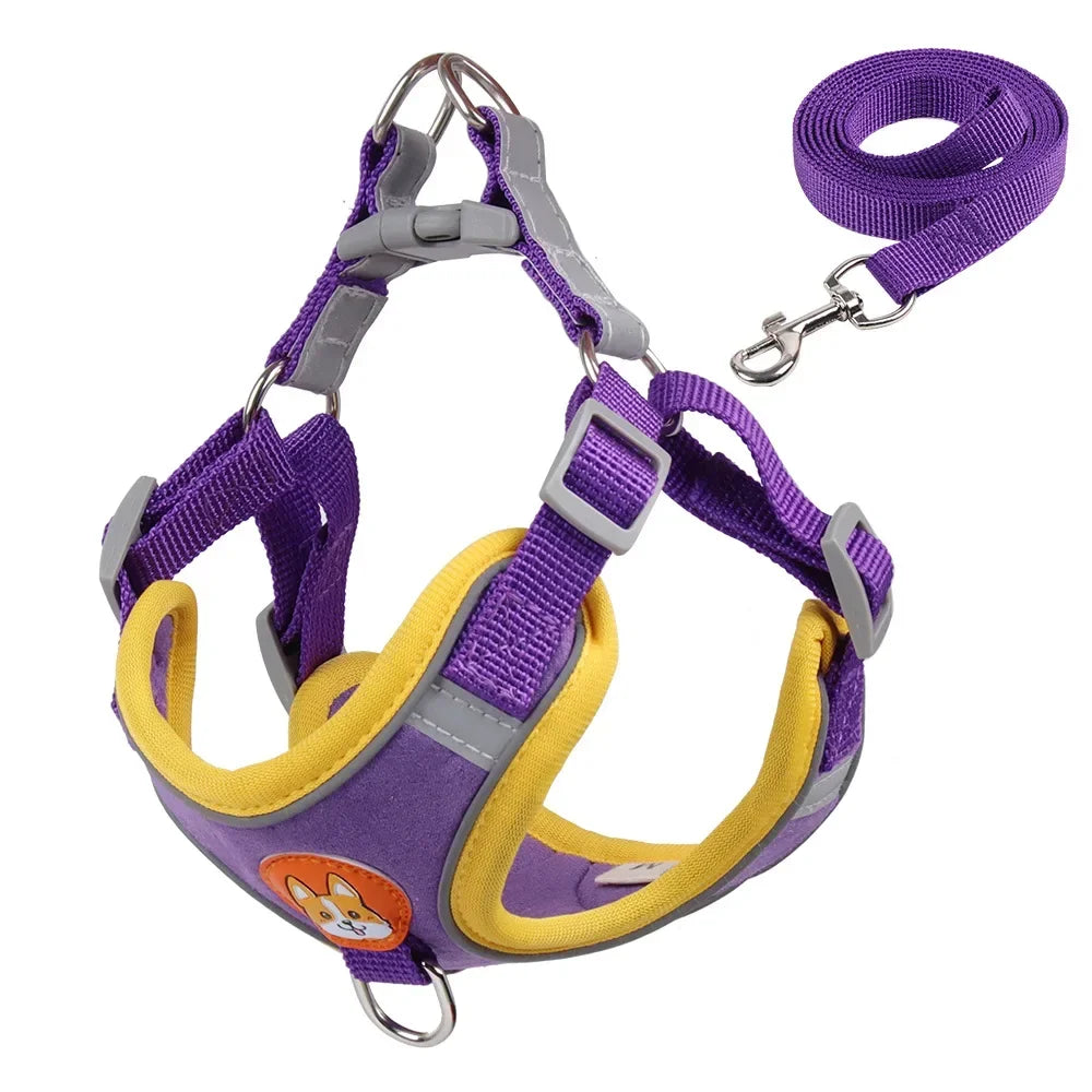 Adjustable Dog Harness & Leash Set