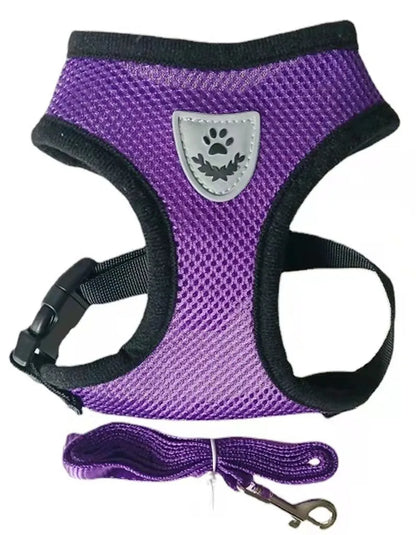 Adjustable Pet Harness and Leash Set