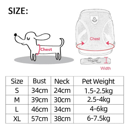 Adjustable Pet Harness and Leash Set