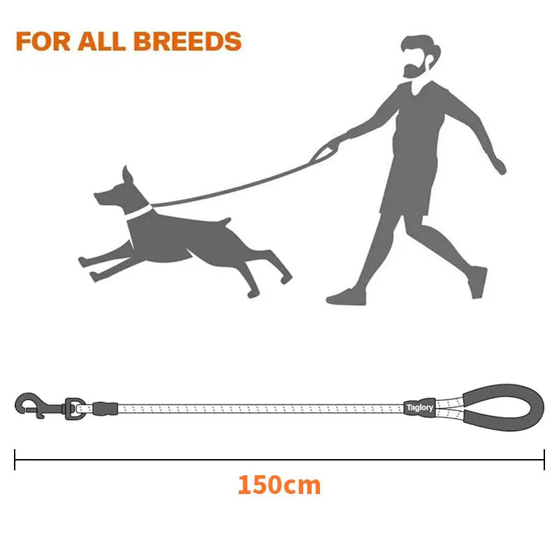 Reflective Dog Leash