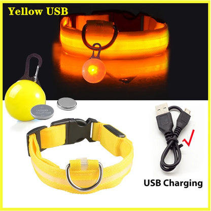 USB Charging Glowing Collar With Pendant