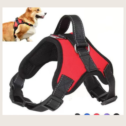 Adjustable Pet Leash