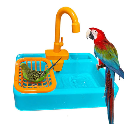 Bathtub for Bird