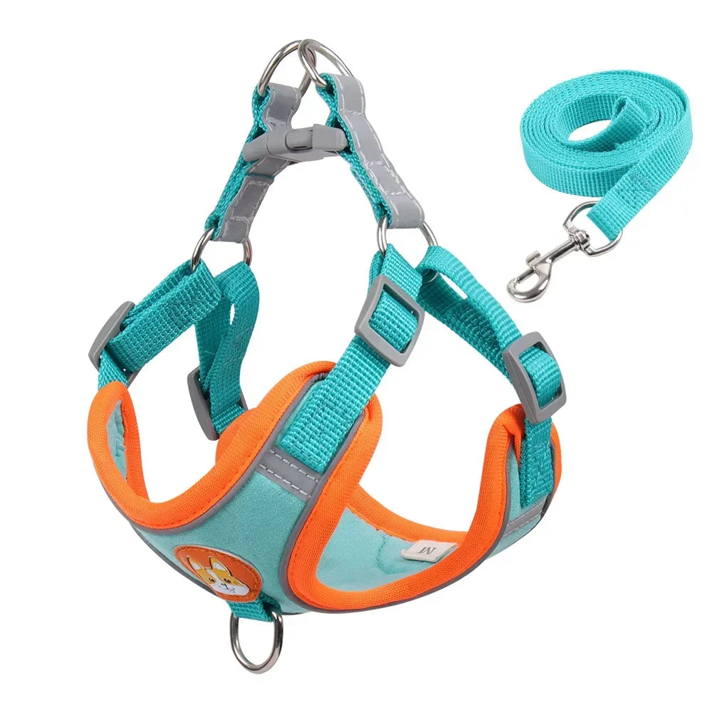 Adjustable Dog Harness & Leash Set