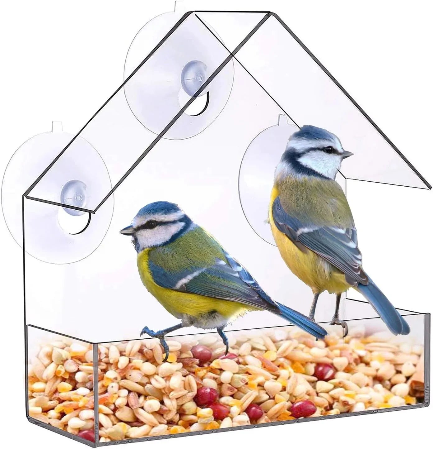 Acrylic Transparent Bird Feeder with Suction Cup