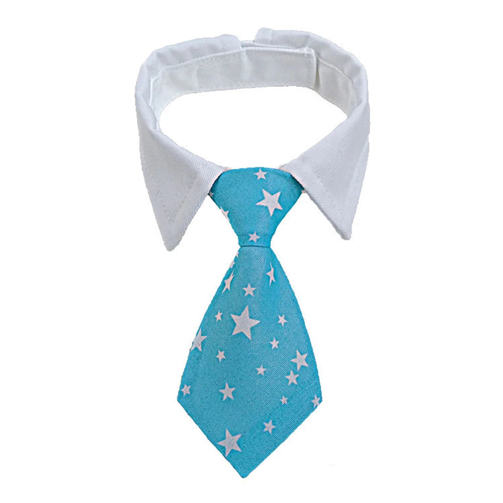 Formal Necktie Collar