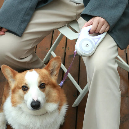 Streamer LED Lights Dog Leash