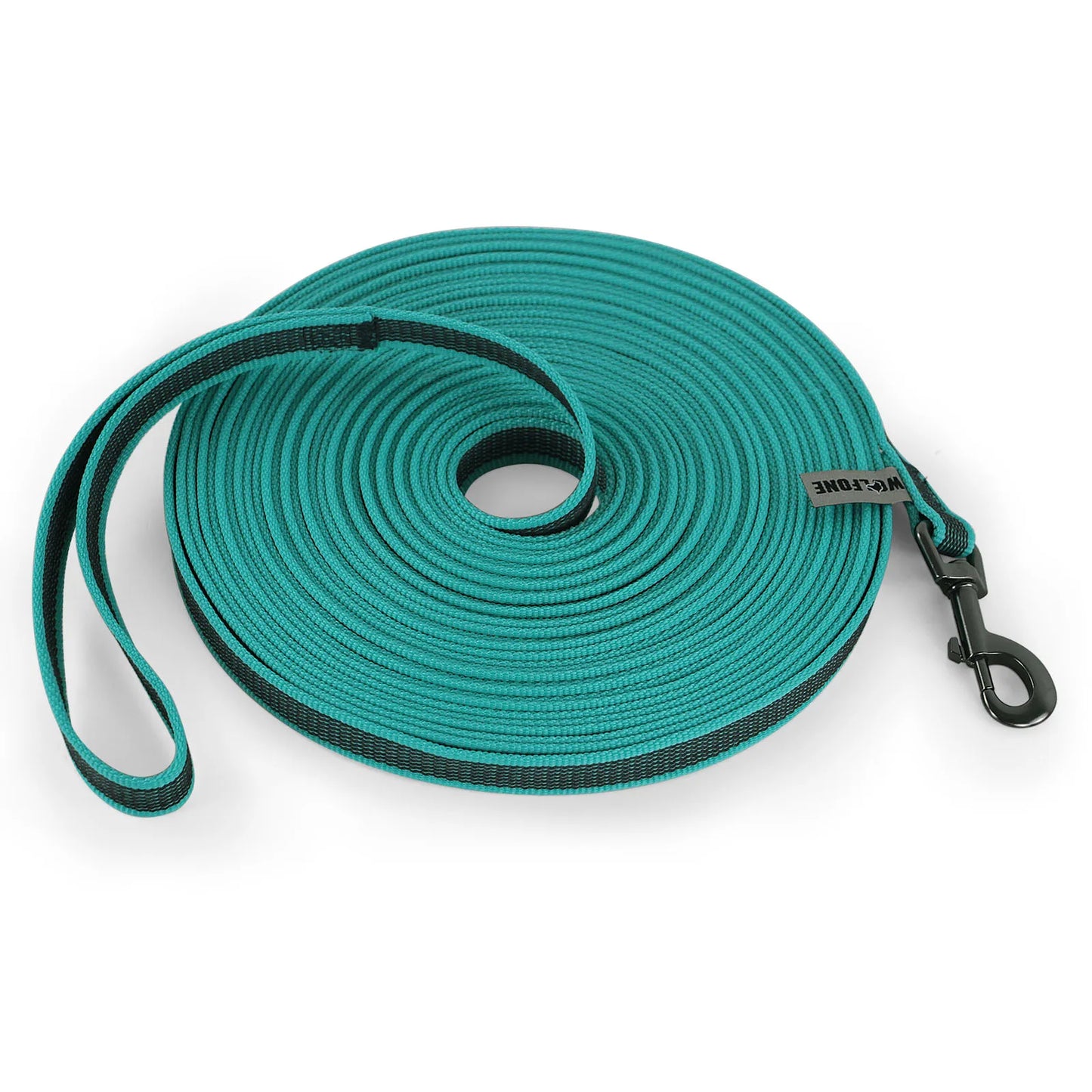 Dual-Color Dog Leash