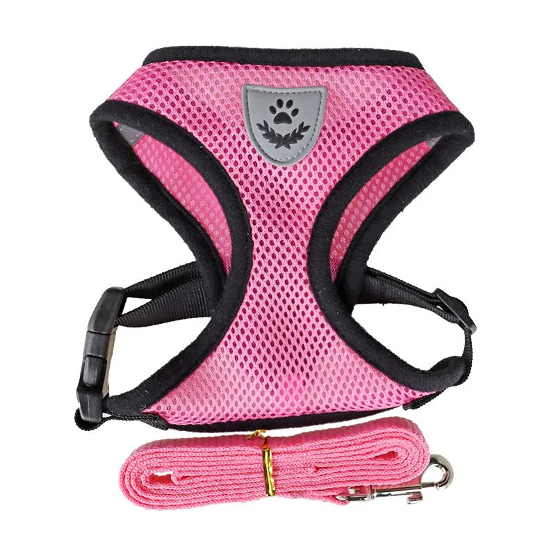 Adjustable Pet Harness and Leash Set