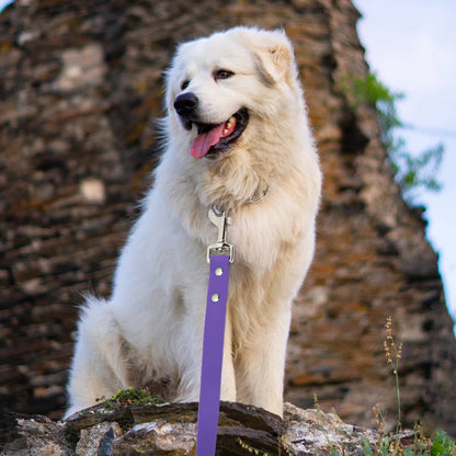 Long Line Dog Leash