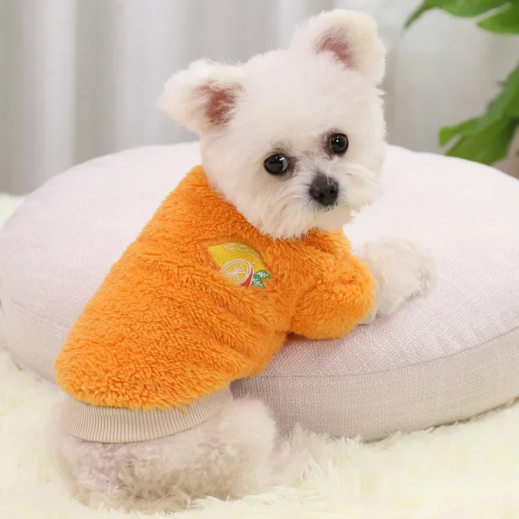 Cute and Warm Small Dog Clothes