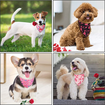 Valentine's Dog Bandanas (20-Pack)