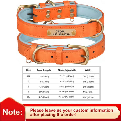 Personalized Leather Dog Collar