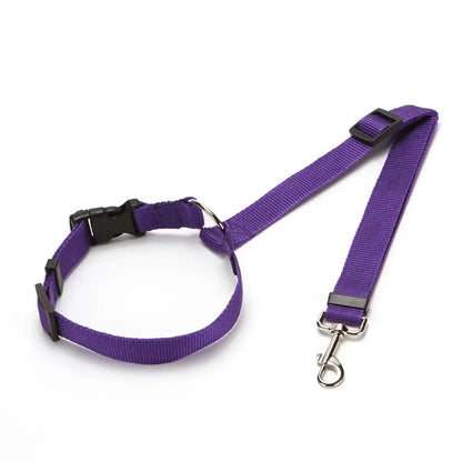 Two-in-One Pet Car Seat Belt & Leash