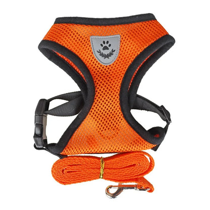 Adjustable Pet Harness and Leash Set