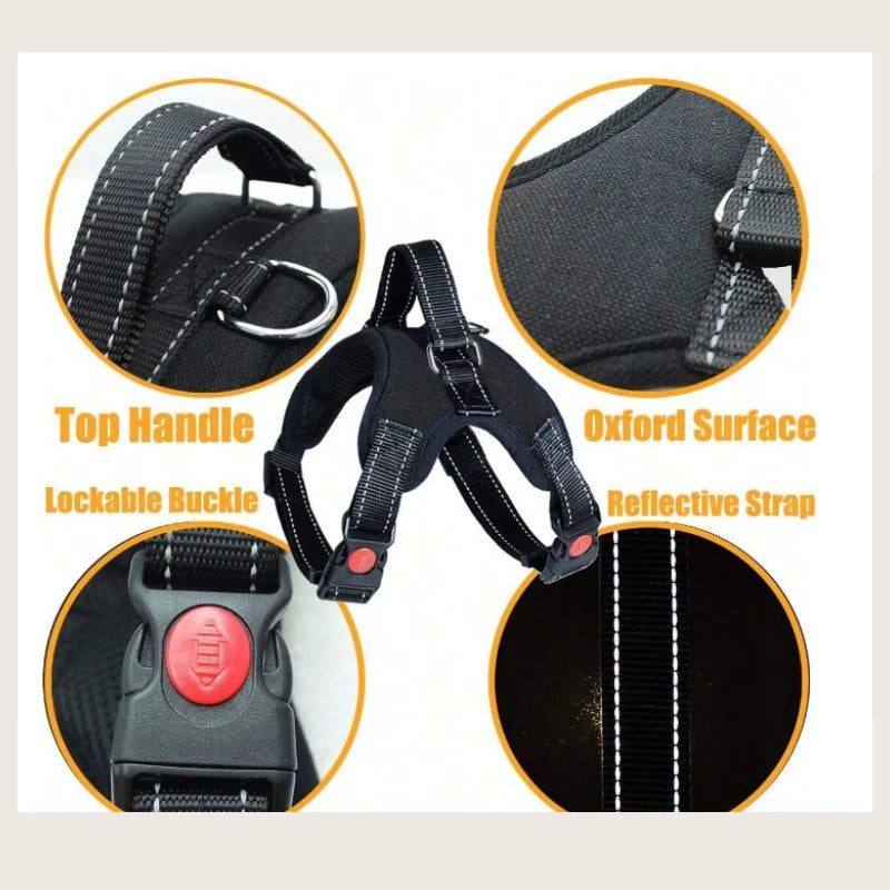 Adjustable Pet Leash