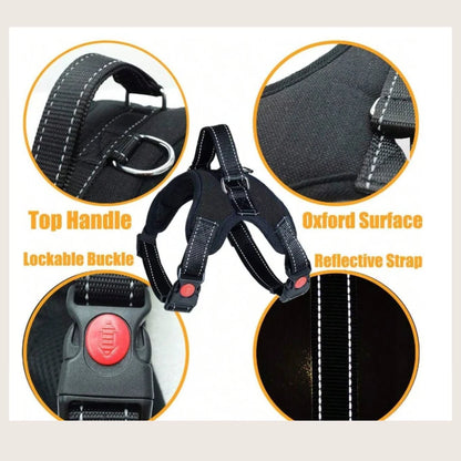 Adjustable Pet Leash