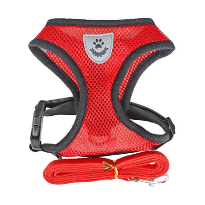 Adjustable Pet Harness and Leash Set