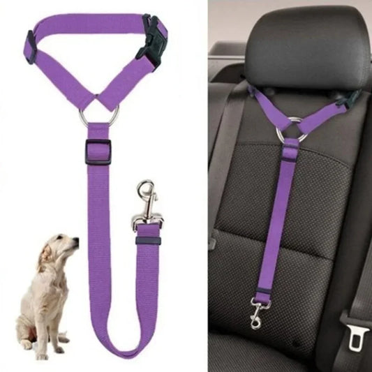 Two-in-One Pet Car Seat Belt & Leash