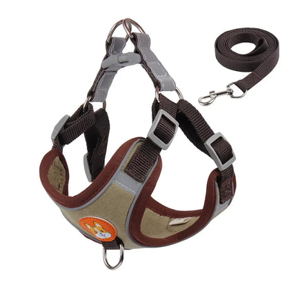 Adjustable Dog Harness & Leash Set