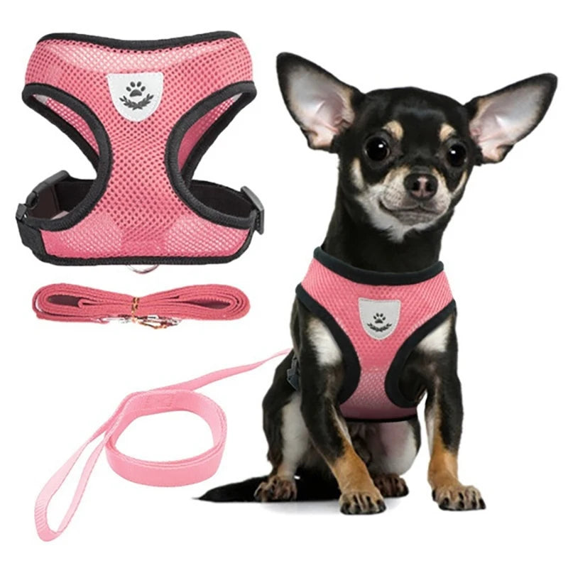 Adjustable Pet Harness and Leash Set