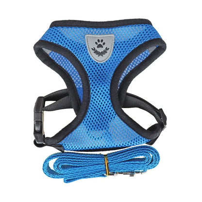 Adjustable Pet Harness and Leash Set